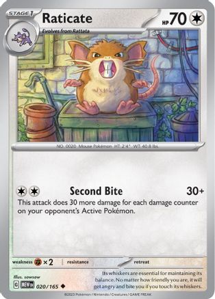 Raticate - 020/165 - Uncommon - Reverse Holofoil