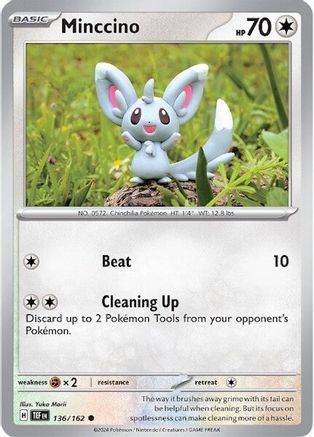 Minccino - 136/162  - Common - Reverse Holofoil
