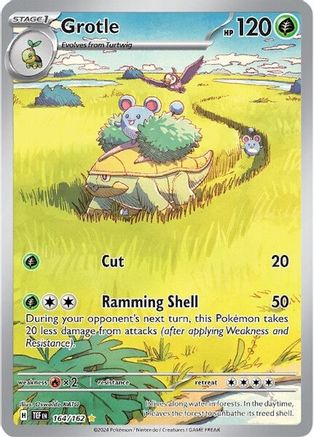 Grotle - 164/162  - Illustration Rare - Holofoil