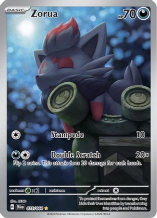 Zorua - 075/064  - Illustration Rare - Holofoil