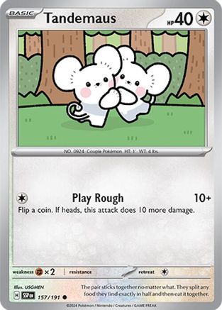 Tandemaus - 157/191 - Common - Normal