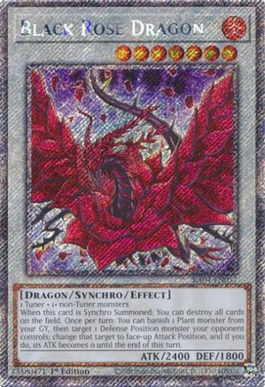 Dragon Rose Noire (Secrète Rare Platine) (RA04-EN057) - Le Stampede du Quart de Siècle 1re édition