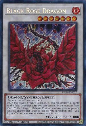 Dragon Rose Noire (Secrète Rare) (RA04-EN057) - Le Piétinement du Quart de Siècle 1re édition