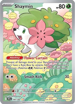 Shaymin - 185/182  - Illustration Rare - Holofoil