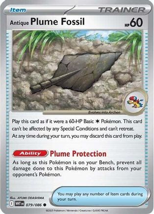 Fossile Plume Antique - 079 - Commune - Reverse Holofoil