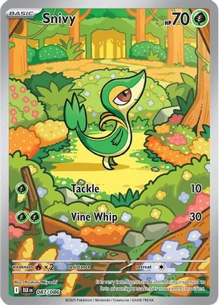 Snivy - 087/086  - Illustration Rare - Holofoil