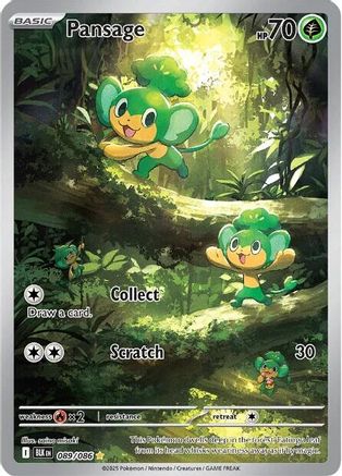 Pansage - 089/086  - Illustration Rare - Holofoil