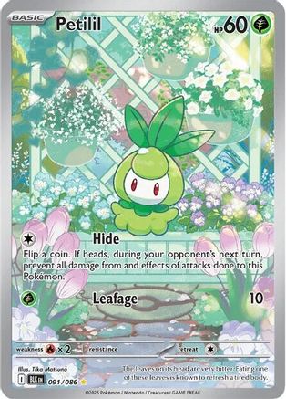 Petilil - 091/086  - Illustration Rare - Holofoil