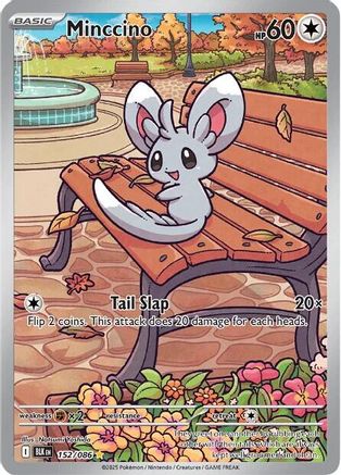 Minccino - 152/086  - Illustration Rare - Holofoil