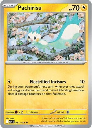 Pachirisu - 051 - Commune - Holo Inversée