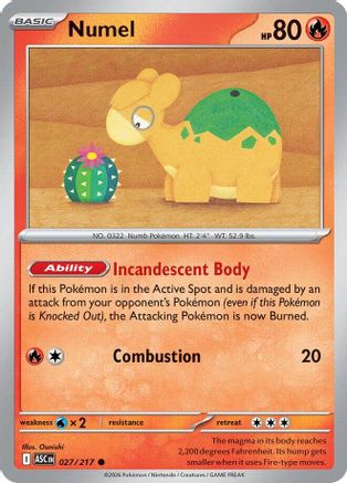 Numel - 027/217  - Common - Normal