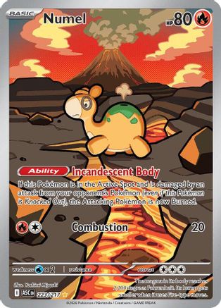Numel - 223/217  - Illustration Rare - Holofoil