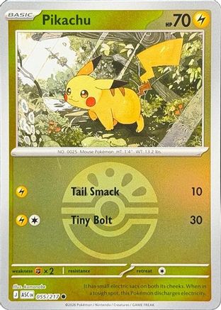 Pikachu (Friend Ball) - 055 - Common - Reverse Holofoil
