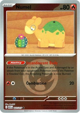 Numel - 027/217 (Energy Symbol Pattern)  - Common - Reverse Holofoil