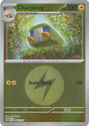 Charjabug (Energy Symbol Pattern) - 065 - Common - Reverse Holofoil