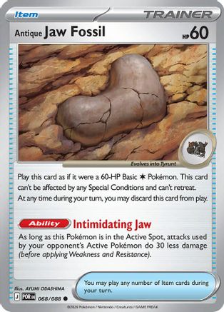 Antique Jaw Fossil - 068 - Common - Normal