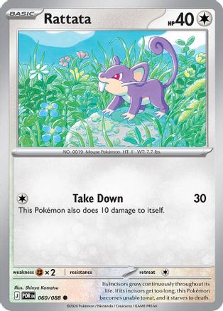 Rattata - 060 - Common - Reverse Holofoil