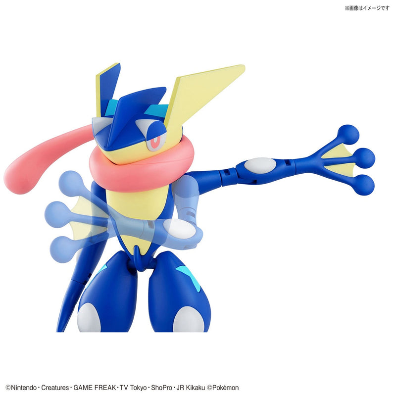 Maquette Pokémon Amphinobi