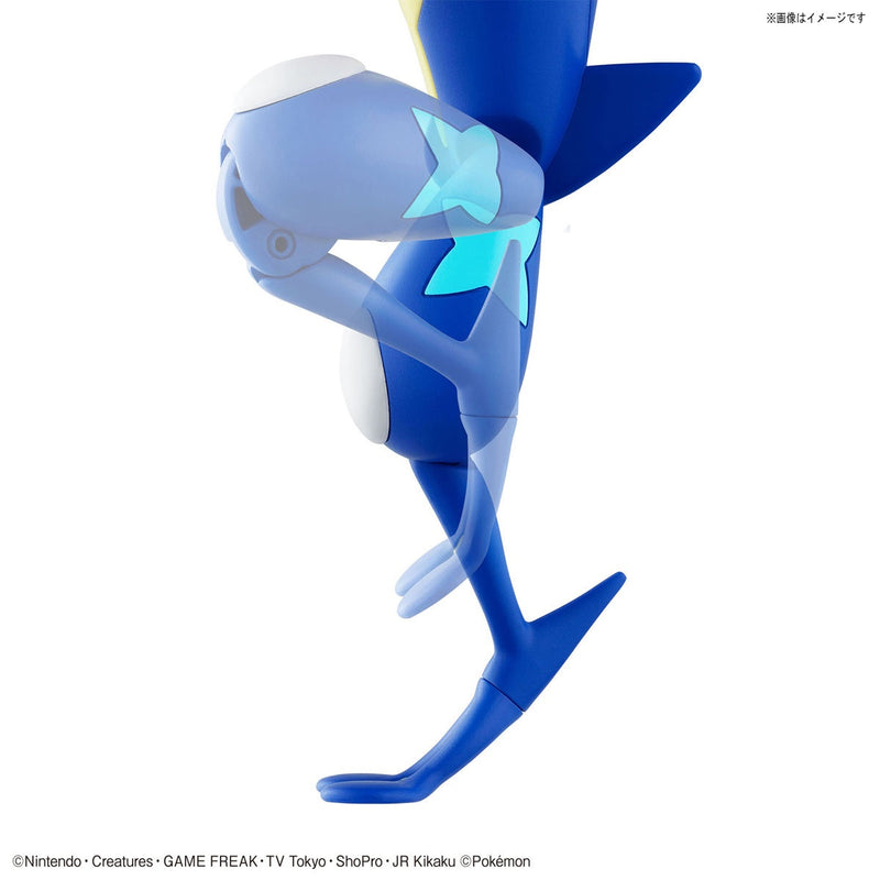 Maquette Pokémon Amphinobi