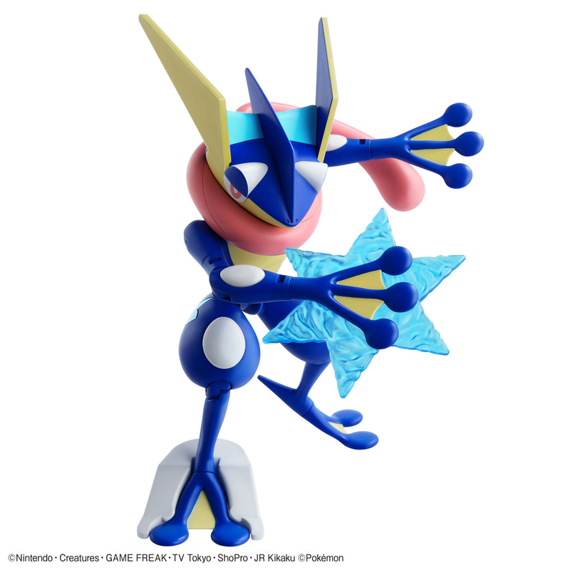 Maquette Pokémon Amphinobi